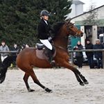 Profile Picture of 🍀albetine.MF (@ferreira.albertine) on Instagram