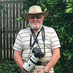 Profile Picture of Ian Gibbs (@yungaburra wildlife) on Flickr