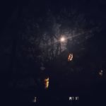 Profile Picture of Erik Welker (@privateracc1234) on Instagram