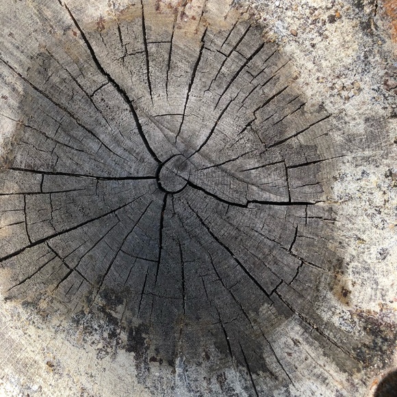 Profile Picture of Anna Apalategui (@annaapalategui) on Poshmark