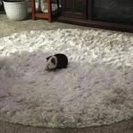 Profile Picture of Rebecca BerndHugus (@rebecca.berndhugus) on Facebook