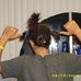 Profile Picture of Derek Overbey (@derek.overbey.18) on Facebook