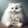 Profile Picture of Pawsome (@pet.town.us) on Tiktok