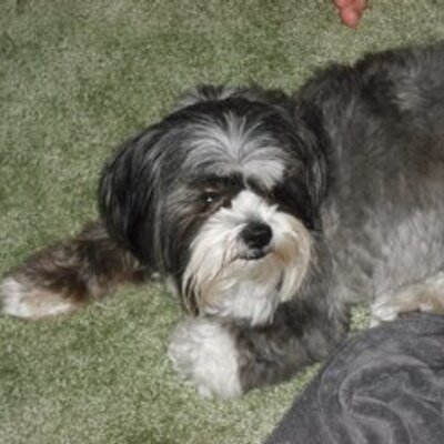 Profile Picture of Jerry Bryson (@jopapaw) on Twitter