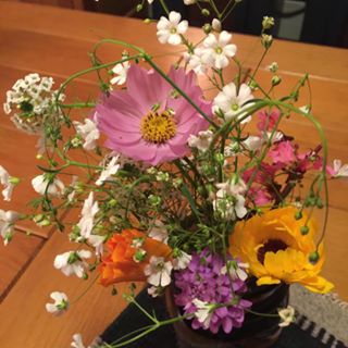 Profile Picture of Sheryl Weisser (@sheryl.weisser.56) on Facebook