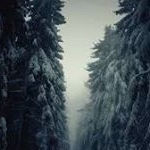 Profile Picture of Taine Tanner Ellis (@t.t_ellis) on Instagram