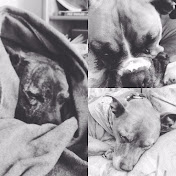 Profile Picture of Dylan Maguire (@dylanmaguire1678) on Youtube