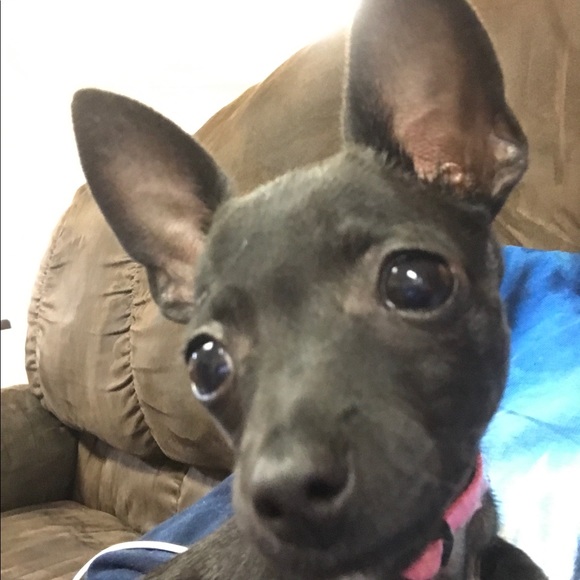 Profile Picture of Linda Chavera (@lmc_0511) on Poshmark