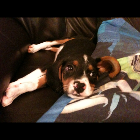 Tosha Hamilton - Poshmark Profile Picture of Tosha Hamilton (@histomom34) on Poshmark