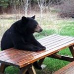 Profile Picture of Scott Remillard (@remillard.scott) on Instagram