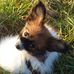 Profile Picture of Julia Dück (@Julia-Dück) on Facebook