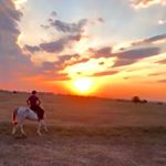 Profile Picture of RAZAMBEK ZHAMALOV (@zhamalov70) on Instagram