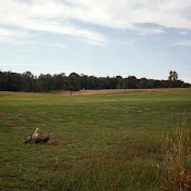 Profile Picture of Adam Bailey (@secumplen) on Youtube