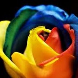 Profile Picture of Catherine Haddouche (@cathad) on Myspace