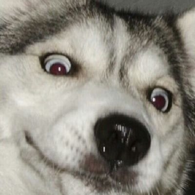 Profile Picture of Tom Pahl (@braves07645) on Twitter