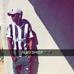 Profile Picture of kevinsmart (@kevinsmart2737) on Instagram