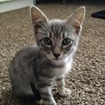 Profile Picture of Janette (@janettehurd1000) on Instagram