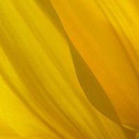 Profile Picture of Thomas Croley (@tfcroley) on Pinterest