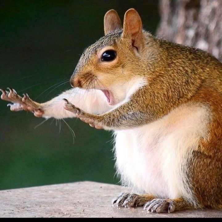 Profile Picture of _em_hornsby_ (@_em_hornsby_) on Tiktok