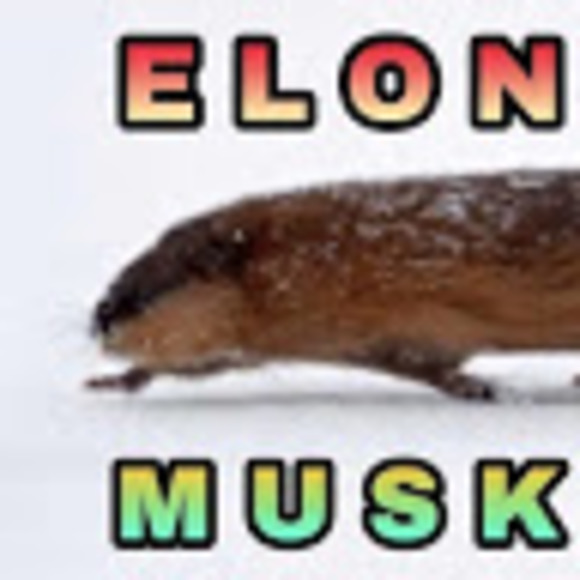 Profile Picture of Elongated Muskrat (@elongatedm) on Poshmark