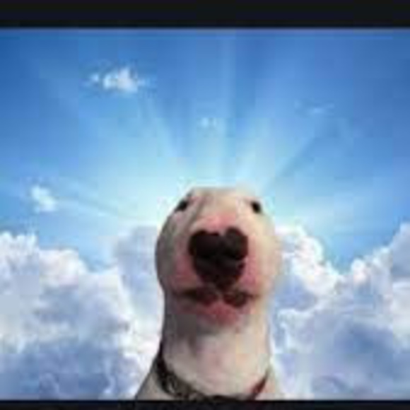 Profile Picture of Christian Toth (@blackpickle) on Poshmark