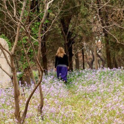 Profile Picture of Jillian Shannon (@IB2Jillian) on Twitter