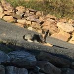 Profile Picture of James Quantz (@jamesquantz) on Instagram