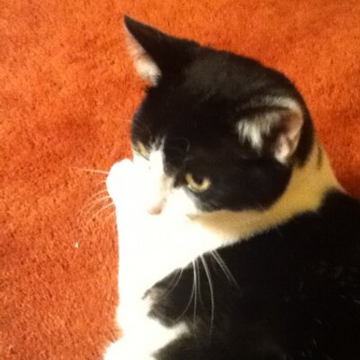 Profile Picture of Skye Walters (@SkyeWalters3) on Twitter