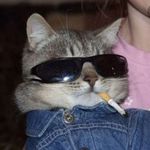 Profile Picture of Brenden Troise (@brenden_troise47) on Instagram