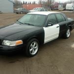 Profile Picture of Brian Bergsma (@oneoilyguy1) on Instagram