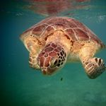 Profile Picture of Thomas Roßow (@thomas.rossow) on Instagram