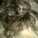 Profile Picture of STEPHANIE dawes (@hotmommababy74) on Pinterest