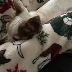 Profile Picture of Lora Bowen (@lora.bowen.9) on Facebook