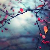 Profile Picture of Sandra Lambert (@Djayangiant) on Youtube