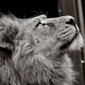 Profile Picture of Michael Bartel (@michaelbartel3963) on Youtube