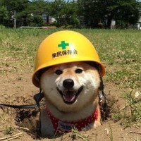 Profile Picture of Thomas Basterfield (@thomas-basterfield) on Quora