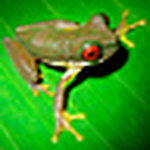 Profile Picture of Jacky Wang (@night-wall in forest) on Flickr