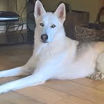 Profile Picture of Dee Bradshaw (@_deebee123_) on Instagram