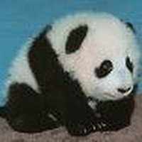 Profile Picture of Jillian Sweeney (@jillian-sweeney-4) on Quora