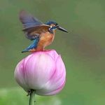 Profile Picture of Jacob Maciel Hernández Orozco (@jacobmacielhernandez) on Instagram