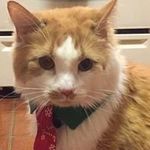Profile Picture of Dave Ackerman (@daveack44) on Instagram