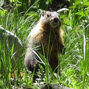 Profile Picture of Jim Schoenberger (@336319751) on Myspace