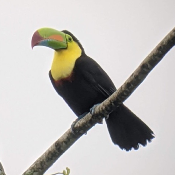 Profile Picture of Amanda Fournier (@amandaf04) on Poshmark