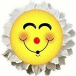 Profile Picture of Tracey Almond (@almond.tracey) on Instagram