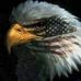 Profile Picture of Gerald GI Hulett (@Gerald-GI-Hulett) on Facebook