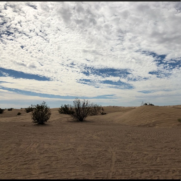 Profile Picture of Hailee Caladez (@omg_hailee) on Poshmark