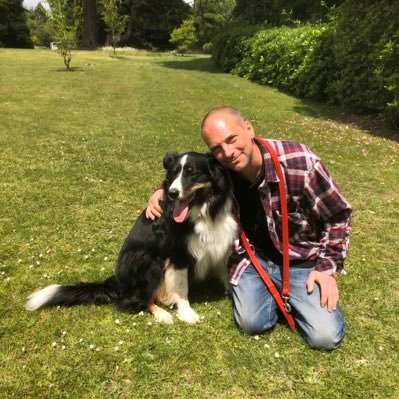 Profile Picture of Steve Gray (@Gray_B_Collie) on Twitter