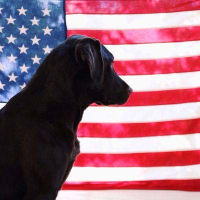 Profile Picture of Darrell Weaver (@Weaver69B) on Twitter