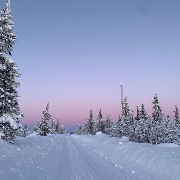 Profile Picture of Josephine Hardy (@josephinehardy_1) on Tiktok