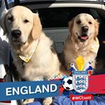 Profile Picture of Shirley Lear (@shirleylear) on Instagram